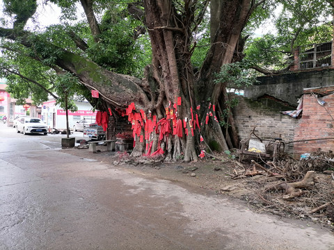 土地庙土地公烧香