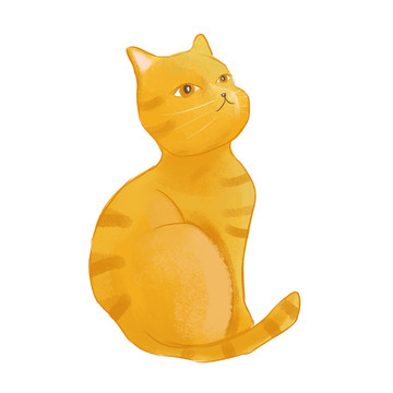 貓