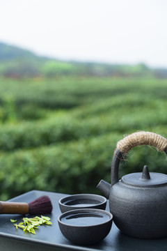 户外茶道茶文化绿色背景