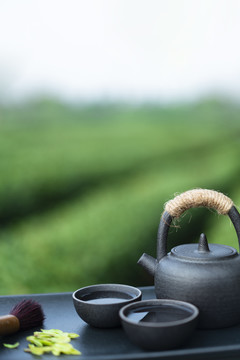 户外茶道茶文化绿色背景