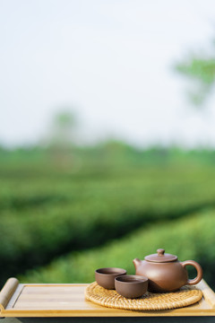 户外茶道茶文化绿色背景