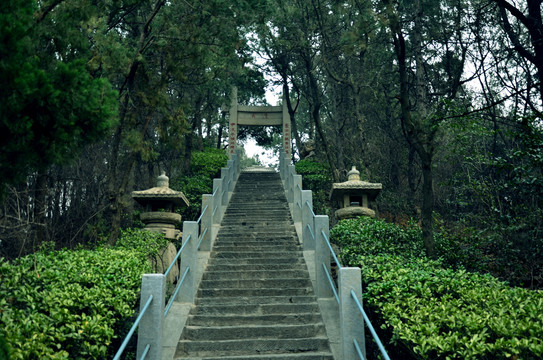 登山台阶