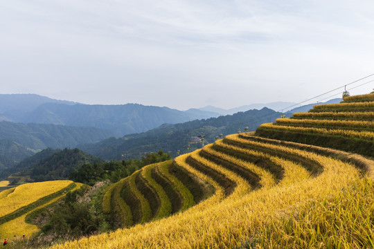 山峦起伏曲线美丽的梯田景观