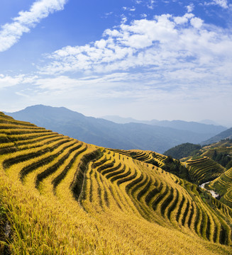 美丽的梯田自然风光