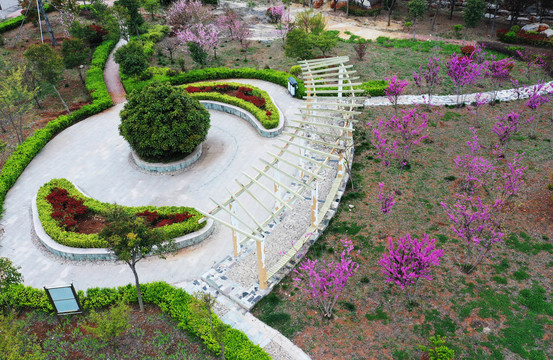 山东枣庄山亭区城市公园春花烂漫