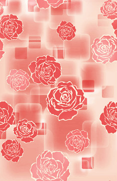 玫瑰花