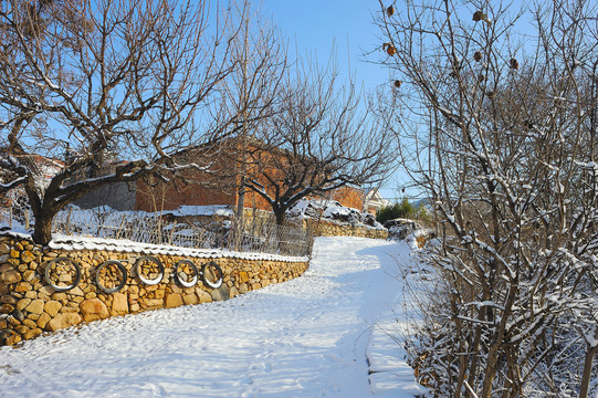 村庄雪景