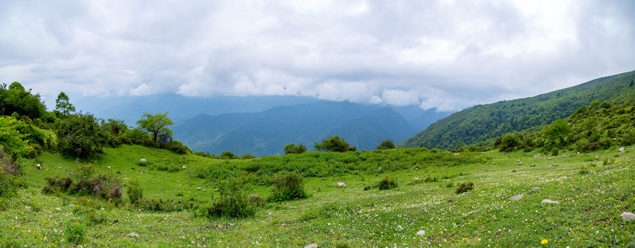 高原牧场