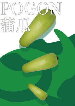 蒲瓜海報