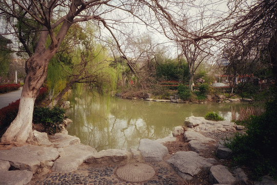 新浦公园池塘边