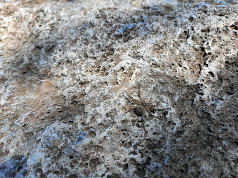 石頭