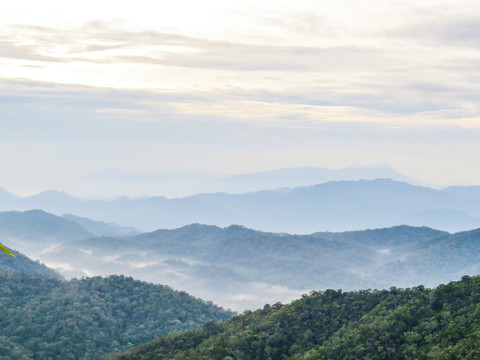 海南尖峰岭