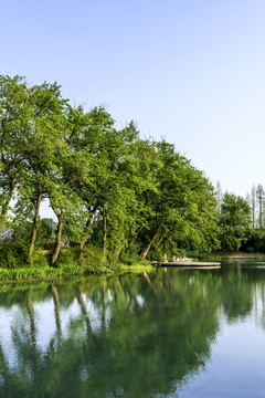 水边绿树