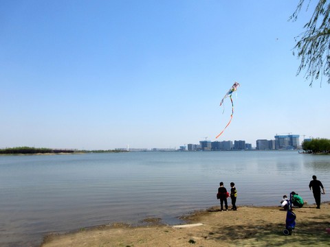 北龙湖湿地公园