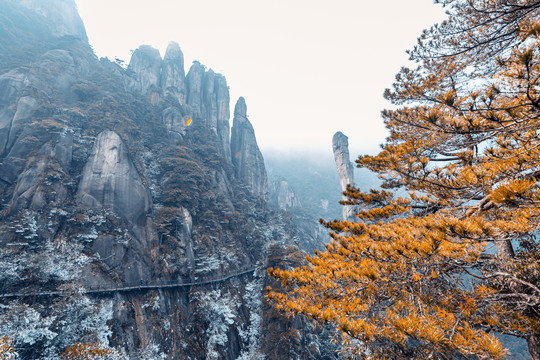 三清山手掌石