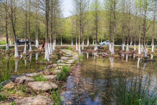 南京溧水无想山风景区