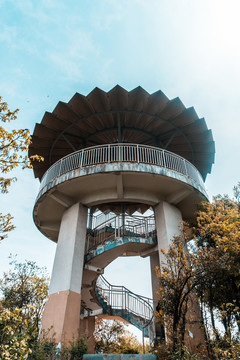 九江天花井森林公园风景