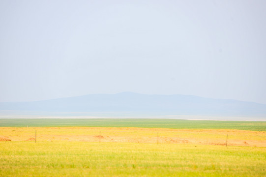 草原风景