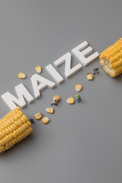 玉米创意图