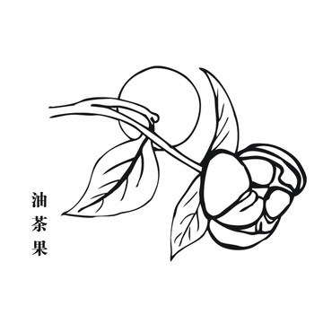 油茶果