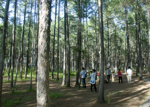 漠河北极村