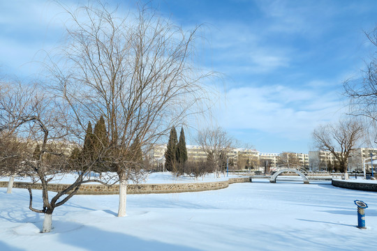 冬季小区雪景