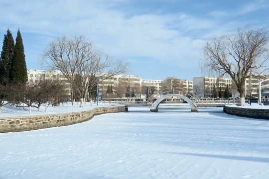 冬季小区雪景