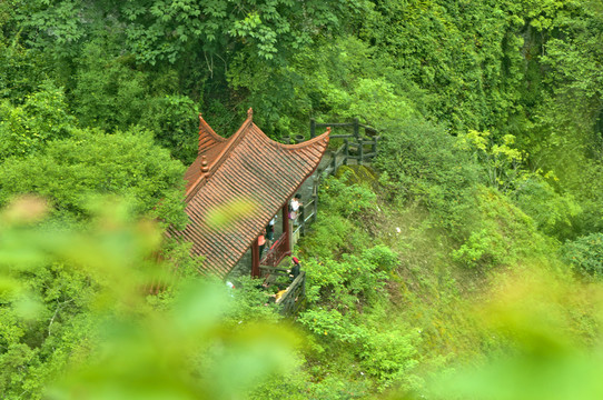 空山风雨后