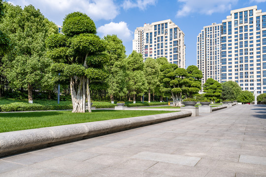 空旷无人的道路和树木和现代建筑