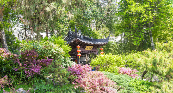 园林风景