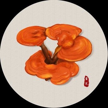 靈芝