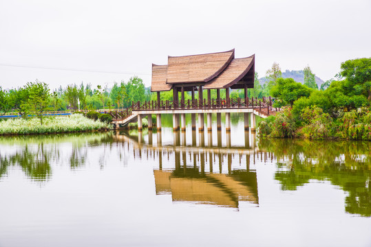 滇池湿地