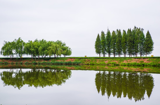 滇池湿地