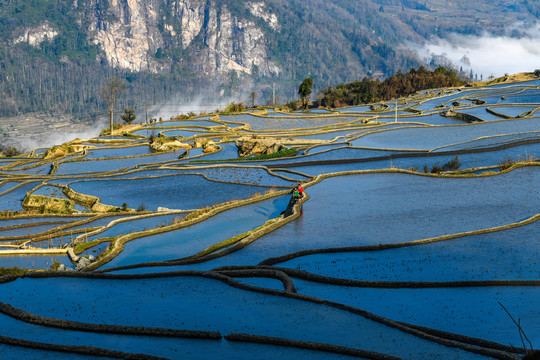 元阳梯田