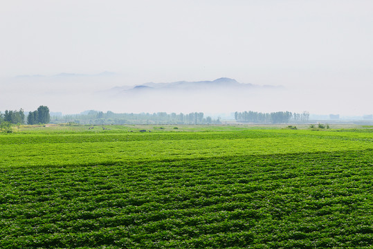 田园风景画