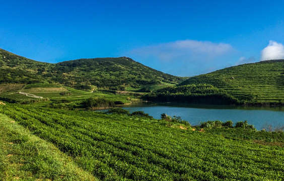 大嵛山岛