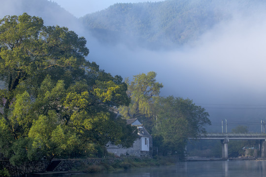 小村浓雾