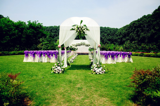 紫色的草坪婚礼