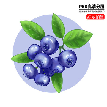 手繪藍(lán)莓