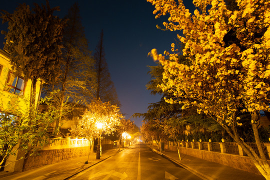 青岛宁武关路夜景