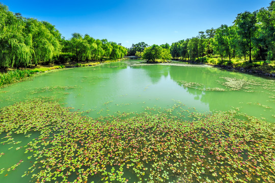 夏日湖泊