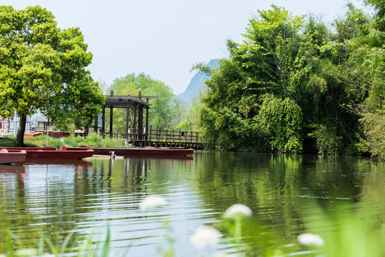 春天阳光下湿地公园小河边的风景