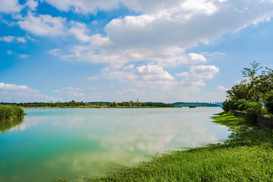 武汉东湖夏天