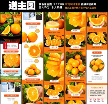 倫晚詳情