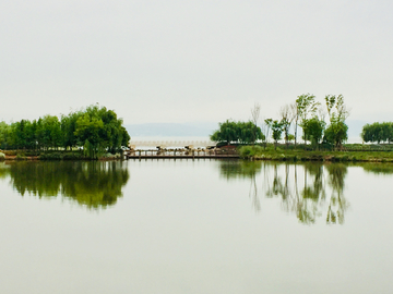 滇池湿地