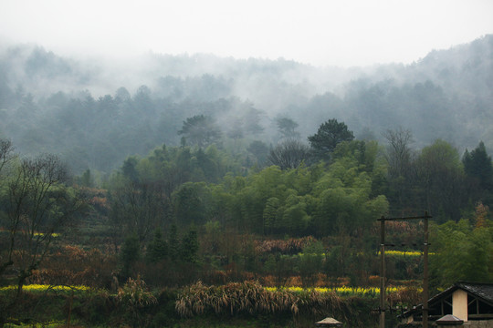 风景画