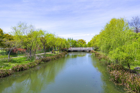 嘉定新城河道