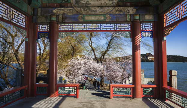 西堤山桃花与古建