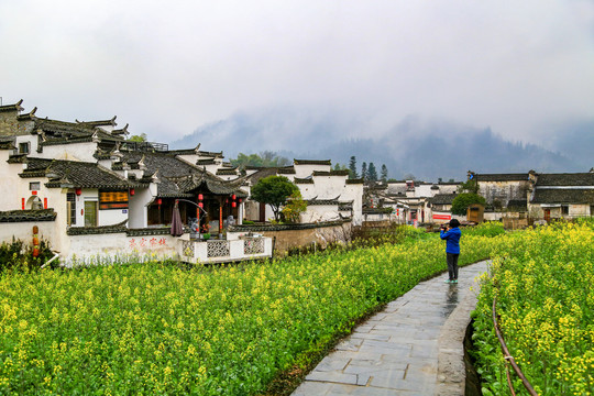 西递古村景区