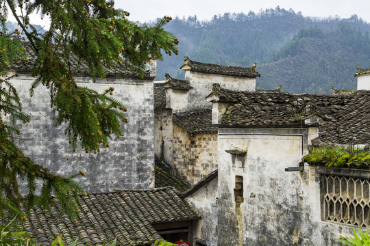 西递古村景区